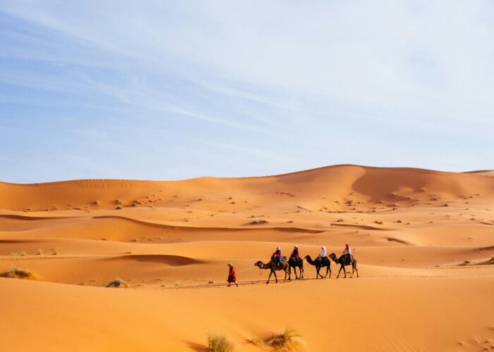 5 days tour from fes to marrakech