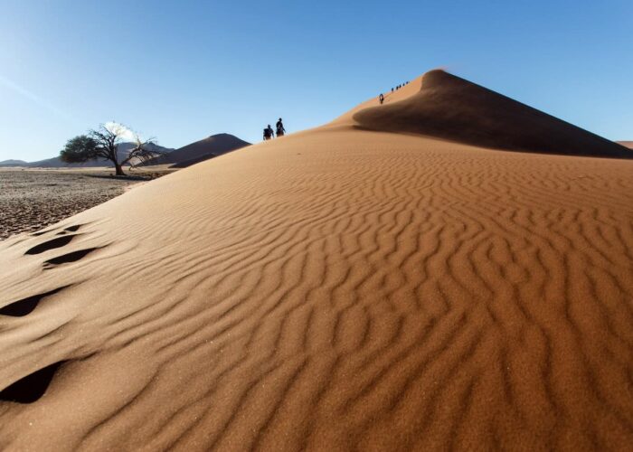 7 Days Tour From Fes