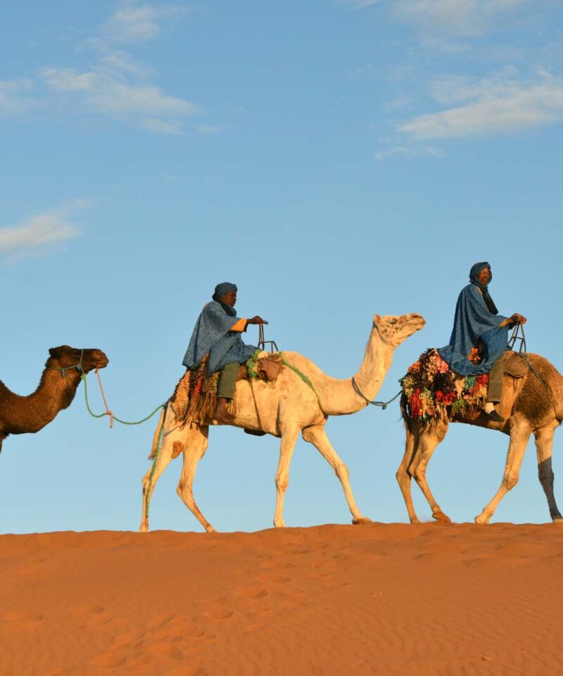 Fes Tours